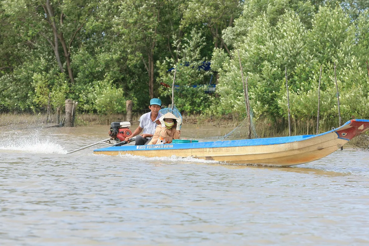 Người lái đò và hành khách trên chiếc thuyền gỗ có động cơ đi dọc con sông rừng ngập mặn ở Mũi Cà Mau.