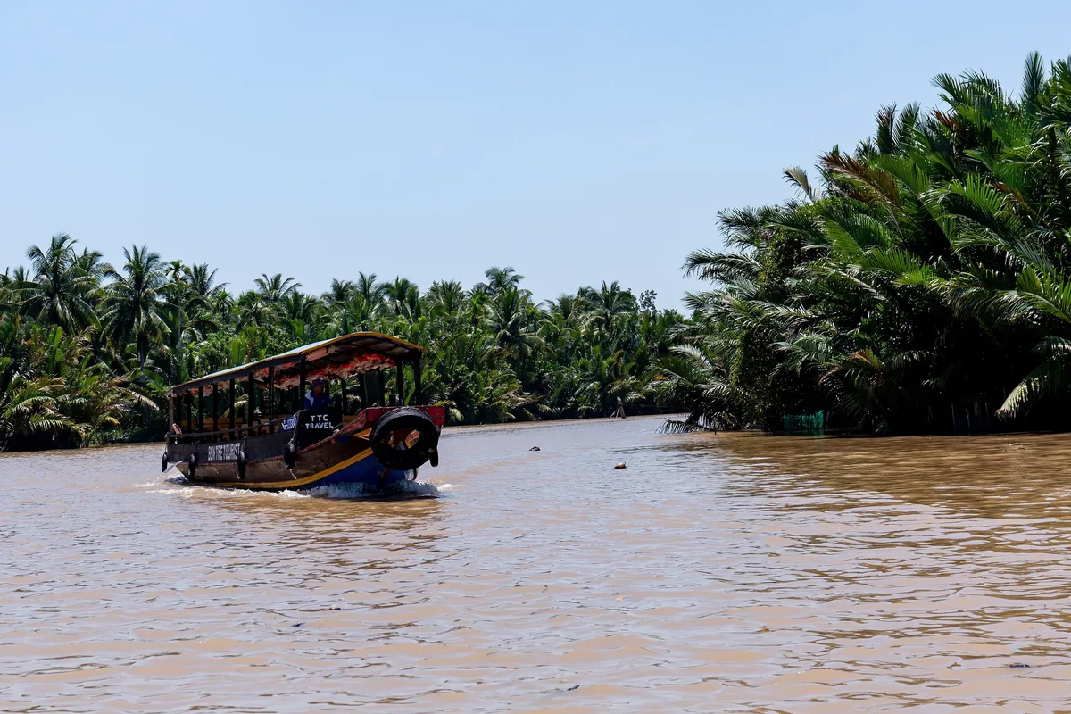 Một chiếc thuyền du lịch bằng gỗ chạy trên dòng sông phù sa rợp bóng dừa ở Đồng bằng sông Cửu Long.