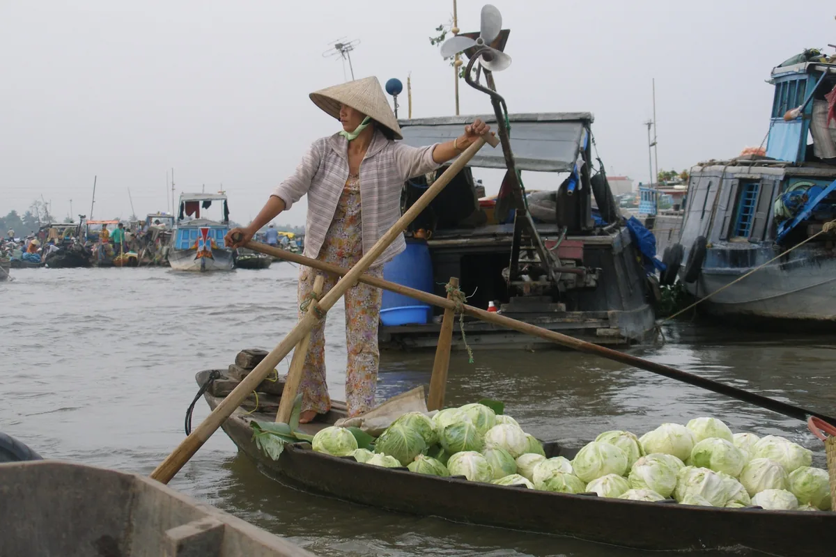 Người phụ nữ đội nón lá chèo thuyền chở đầy bắp cải tại chợ nổi Cần Thơ.