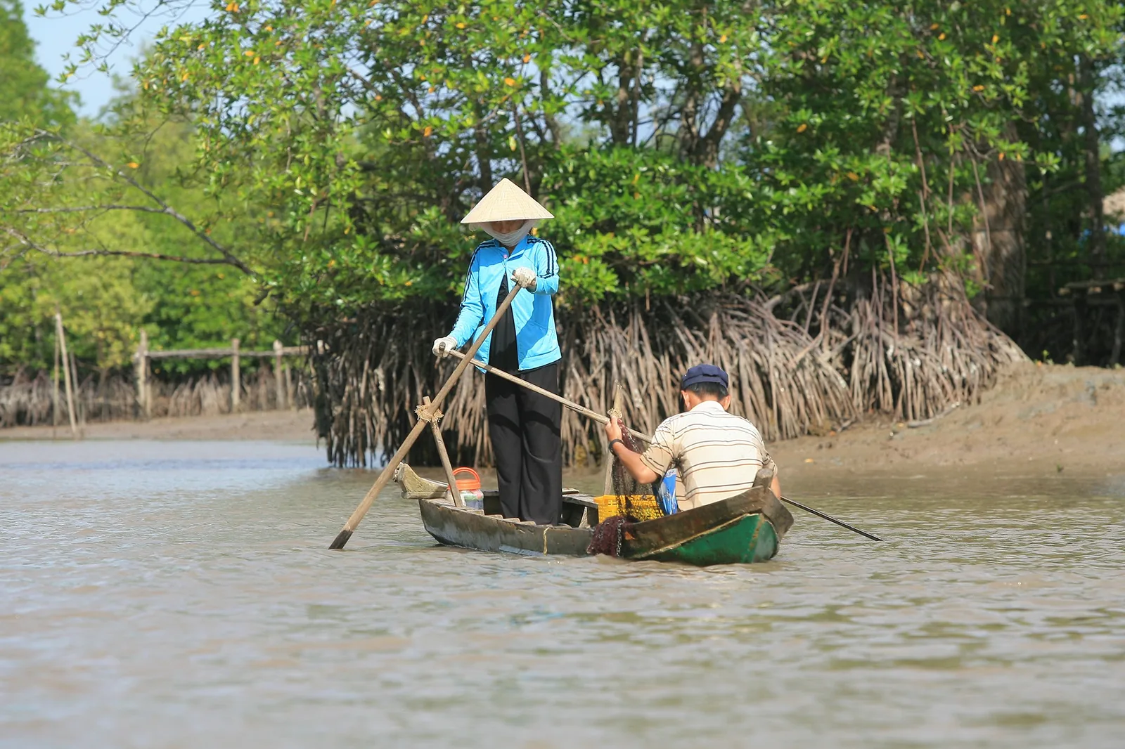 Một phụ nữ đội nón lá chèo thuyền gỗ nhỏ qua kênh rừng ngập mặn ở Cà Mau, gần đó một người đàn ông đang thu hoạch hải sản.